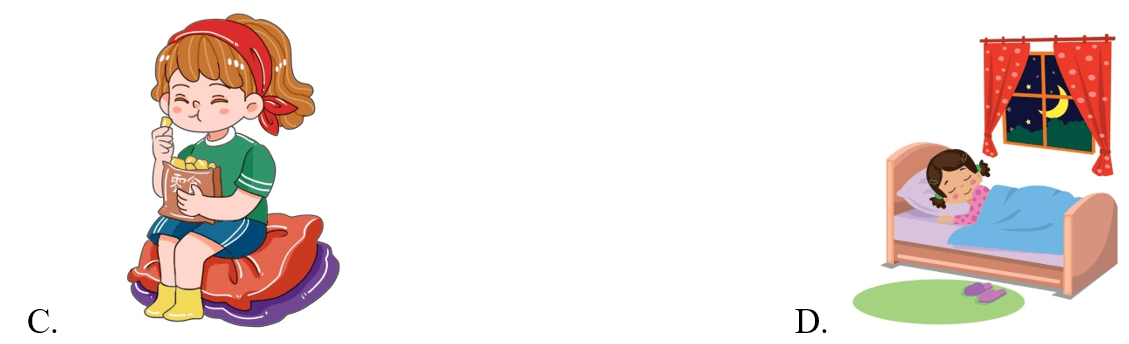 Trắc nghiệm Tiếng Anh lớp 5 Family and Friends Unit 1 Phonetics and Vocabulary