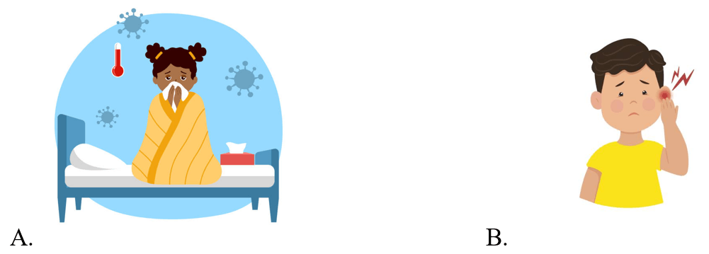 Trắc nghiệm Tiếng Anh lớp 5 Family and Friends Unit 10 Phonetics and Vocabulary