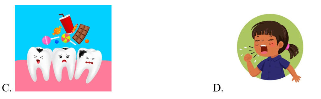 Trắc nghiệm Tiếng Anh lớp 5 Family and Friends Unit 10 Phonetics and Vocabulary