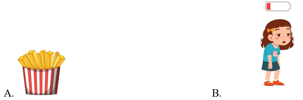 Trắc nghiệm Tiếng Anh lớp 5 Family and Friends Unit 10 Phonetics and Vocabulary