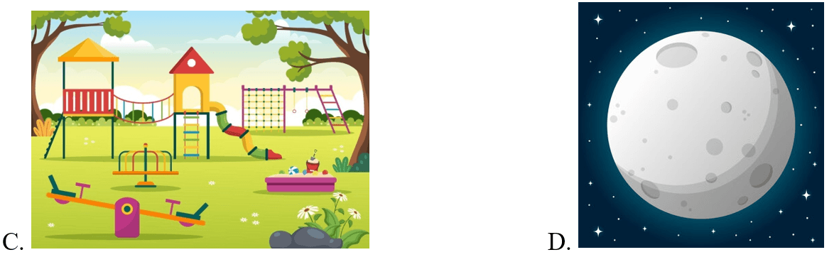 Trắc nghiệm Tiếng Anh lớp 5 Family and Friends Unit 12 Phonetics and Vocabulary