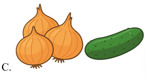 Trắc nghiệm Tiếng Anh lớp 5 Family and Friends Unit 3 Phonetics and Vocabulary