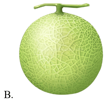 Trắc nghiệm Tiếng Anh lớp 5 Family and Friends Unit 3 Phonetics and Vocabulary