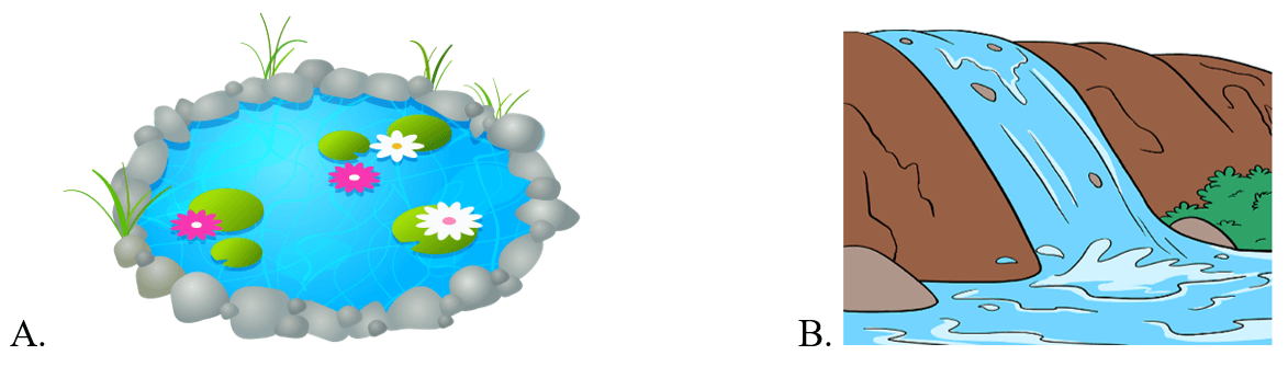Trắc nghiệm Tiếng Anh lớp 5 Family and Friends Unit 8 Phonetics and Vocabulary