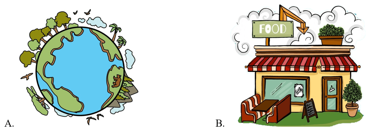 Trắc nghiệm Tiếng Anh lớp 5 Family and Friends Unit 8 Phonetics and Vocabulary