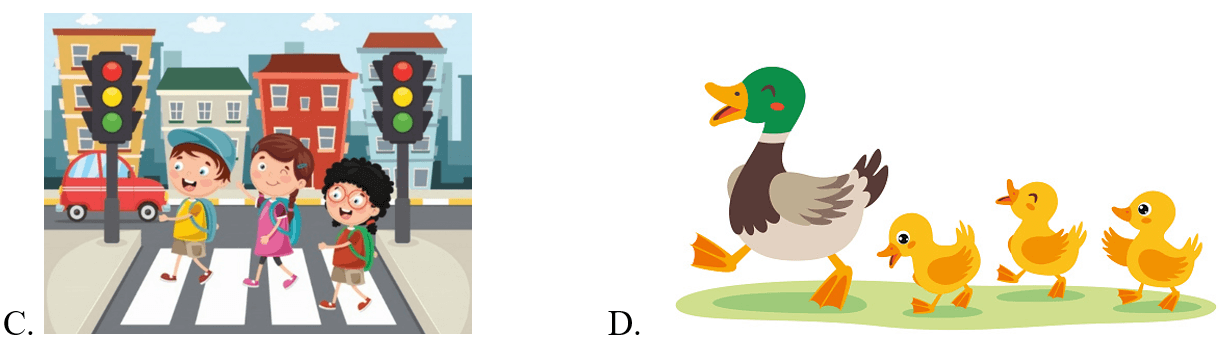 Trắc nghiệm Tiếng Anh lớp 5 Family and Friends Unit 9 Phonetics and Vocabulary