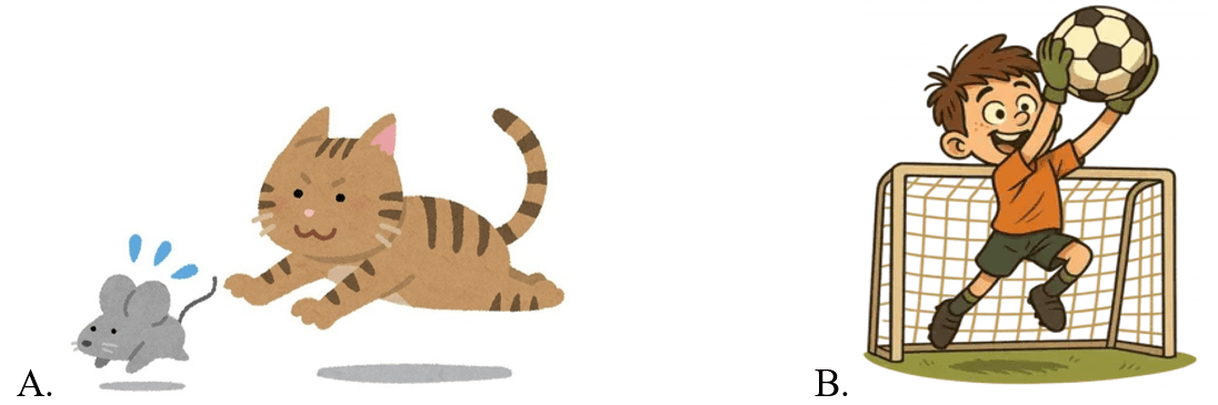 Trắc nghiệm Tiếng Anh lớp 5 Family and Friends Unit 9 Phonetics and Vocabulary