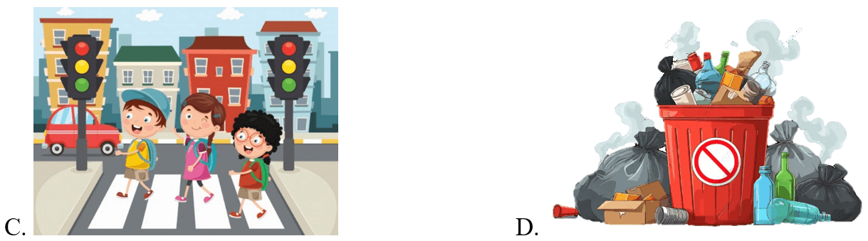 Trắc nghiệm Tiếng Anh lớp 5 Family and Friends Unit 9 Phonetics and Vocabulary