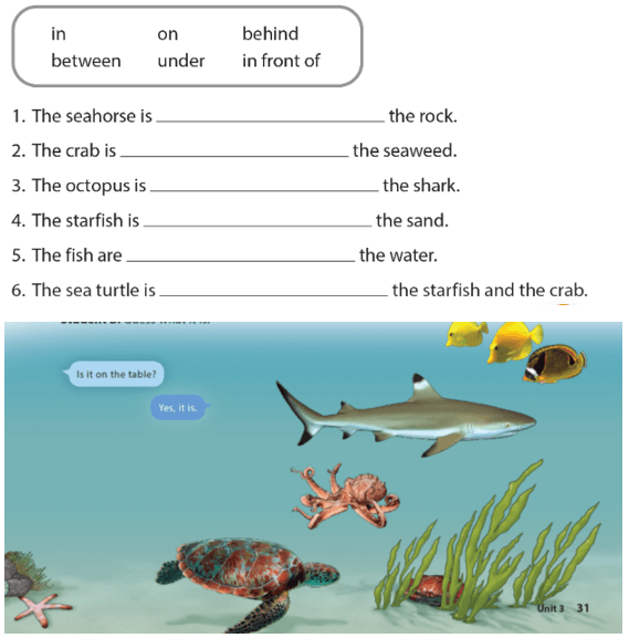 Unit 3: Where's the shark?