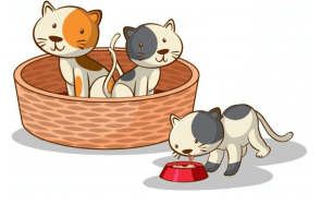 Trắc nghiệm Tiếng Anh 6 Starter unit (Friends plus có đáp án): Vocabulary and Grammar