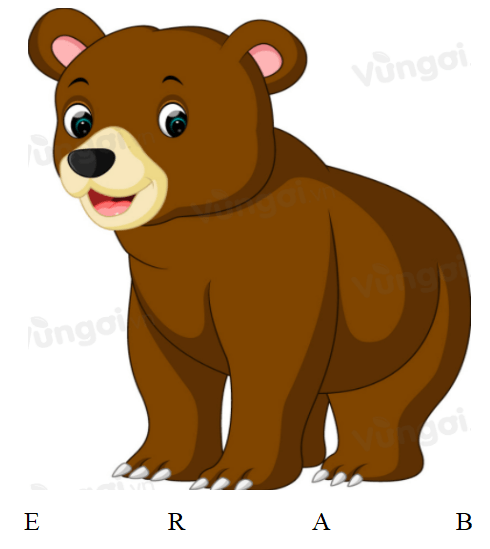 Trắc nghiệm Tiếng Anh 6 Unit 3 (Friends plus có đáp án): Vocabulary and Grammar