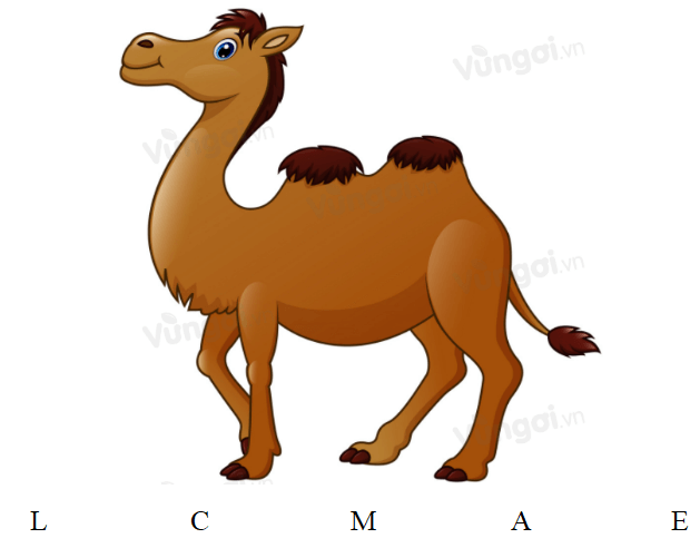 Trắc nghiệm Tiếng Anh 6 Unit 3 (Friends plus có đáp án): Vocabulary and Grammar