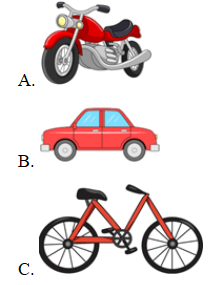 Trắc nghiệm Tiếng Anh 6 Unit 8 (Friends plus có đáp án): Vocabulary and Grammar