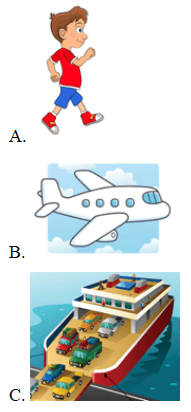 Trắc nghiệm Tiếng Anh 6 Unit 8 (Friends plus có đáp án): Vocabulary and Grammar