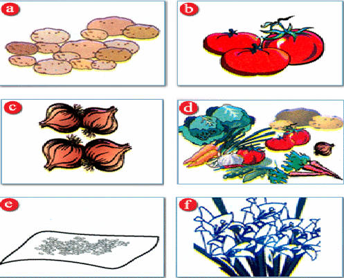 Tiếng Anh 6 và ngữ pháp, bài tập tiếng Anh lớp 6
