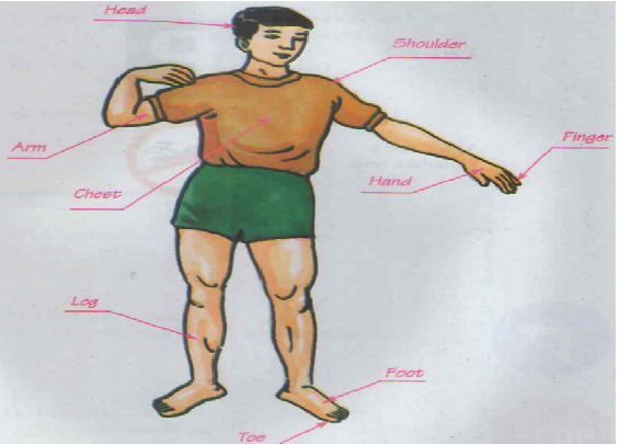 Tiếng Anh 6 và ngữ pháp, bài tập tiếng Anh lớp 6