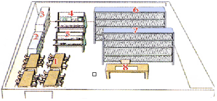 Tiếng Anh 7 và ngữ pháp, bài tập tiếng Anh lớp 7