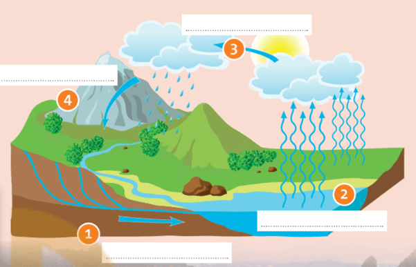 Tiếng Anh 8 Unit 3 CLIL: Geology: The water cycle trang 92 | Friends plus 8 Chân trời sáng tạo