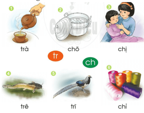 tr, ch – Bài 29 – Tiếng Việt lớp 1 (trang 54 → 55) - Cánh diều