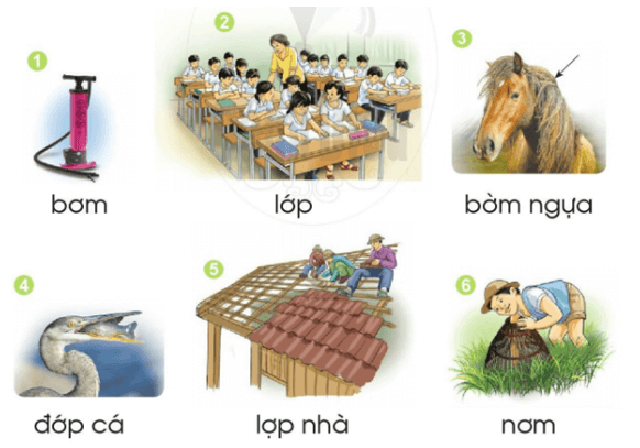 ơm, ơp – Bài 49 – Tiếng Việt lớp 1 (trang 88 → 89) - Cánh diều