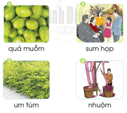 uôm – Bài 53 – Tiếng Việt lớp 1 (trang 98 → 99) - Cánh diều