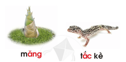 ăng, ăc – Bài 78 – Tiếng Việt lớp 1 (trang 140 → 141) - Cánh diều