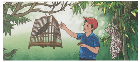 Ôn tập – Bài 87 – Tiếng Việt lớp 1 (trang 155) - Cánh diều