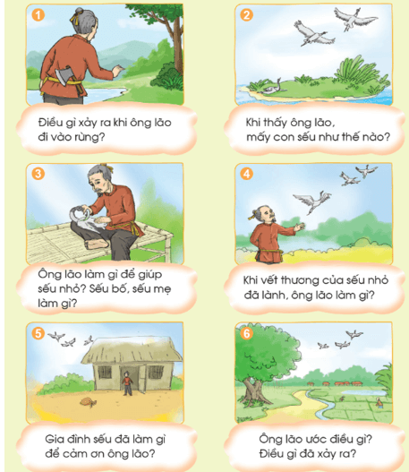 Kể chuyện Ông lão và sếu nhỏ – Bài 92 – Tiếng Việt lớp 1 (trang 164) - Cánh diều