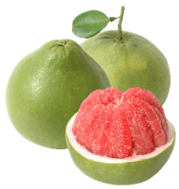 Trắc nghiệm Tiếng Việt lớp 1 Bài 103 (có đáp án): uôi, ươi | Cánh diều