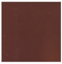 Trắc nghiệm Tiếng Việt lớp 1 Bài 107 (có đáp án): au, âu | Cánh diều