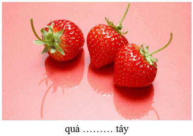 Trắc nghiệm Tiếng Việt lớp 1 Bài 107 (có đáp án): au, âu | Cánh diều