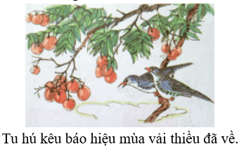 Trắc nghiệm Tiếng Việt lớp 1 Bài 109 (có đáp án): iêu, yêu | Cánh diều