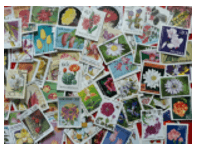 Trắc nghiệm Tiếng Việt lớp 1 Bài 112 (có đáp án): ưu, ươu | Cánh diều