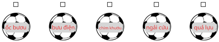 Trắc nghiệm Tiếng Việt lớp 1 Bài 112 (có đáp án): ưu, ươu | Cánh diều