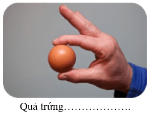 Trắc nghiệm Tiếng Việt lớp 1 Bài 113 (có đáp án): oa, oe | Cánh diều