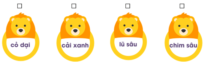 Trắc nghiệm Tiếng Việt lớp 1 Bài 120 (có đáp án): oăn, oăt | Cánh diều