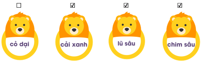 Trắc nghiệm Tiếng Việt lớp 1 Bài 120 (có đáp án): oăn, oăt | Cánh diều