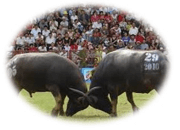 Trắc nghiệm Tiếng Việt lớp 1 Bài 130 (có đáp án): oăng, oac | Cánh diều