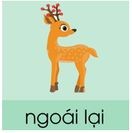 Trắc nghiệm Tiếng Việt lớp 1 Bài 136 (có đáp án): oai, oay, uây | Cánh diều