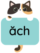 Trắc nghiệm Tiếng Việt lớp 1 Bài 94 (có đáp án): anh, ach | Cánh diều (ảnh 17)