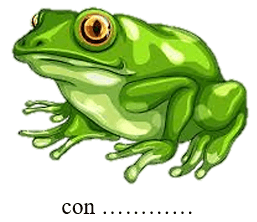 Trắc nghiệm Tiếng Việt lớp 1 Bài 95 (có đáp án): ênh - êch - Cánh diều (ảnh 2)