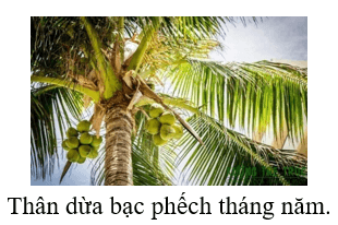 Trắc nghiệm Tiếng Việt lớp 1 Bài 95 (có đáp án): ênh - êch - Cánh diều