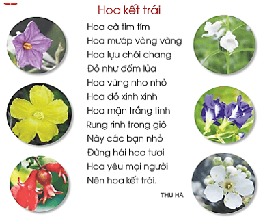 Trắc nghiệm Tiếng Việt lớp 1 Hoa kết trái (có đáp án) | Cánh diều