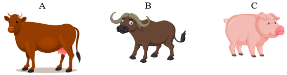 Trắc nghiệm Tiếng Việt lớp 1 Kể cho bé nghe (có đáp án) | Cánh diều