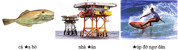 Khu rừng kì lạ dưới đáy biển – Bài 1 – Tiếng Việt lớp 1 (trang 125 → 127) - Chân trời sáng tạo