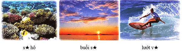 Khu rừng kì lạ dưới đáy biển – Bài 1 – Tiếng Việt lớp 1 (trang 125 → 127) - Chân trời sáng tạo