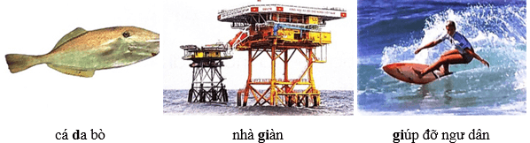 Khu rừng kì lạ dưới đáy biển – Bài 1 – Tiếng Việt lớp 1 (trang 125 → 127) - Chân trời sáng tạo