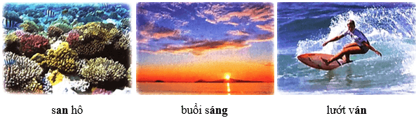 Khu rừng kì lạ dưới đáy biển – Bài 1 – Tiếng Việt lớp 1 (trang 125 → 127) - Chân trời sáng tạo