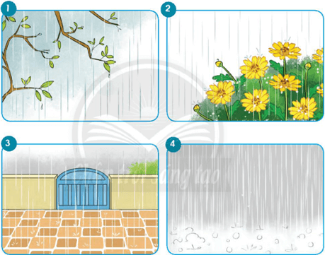 Mưa – Bài 1 – Tiếng Việt lớp 1 (trang 35 → 36) - Chân trời sáng tạo