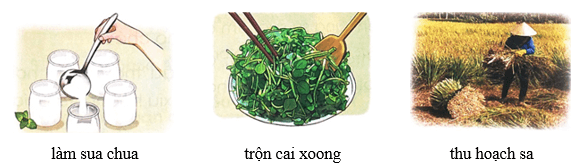 Mặt trời và hạt đậu – Bài 2 – Tiếng Việt lớp 1 (trang 37 → 39) - Chân trời sáng tạo